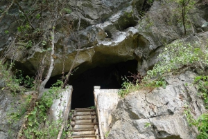 Cat Ba Jeep Tour : National Park Hikking & Hospital Caving