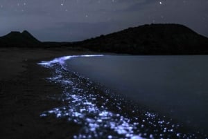 Cat Ba : Lan Ha Bay Bioluminescerande plankton kajak båttur