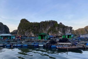 Cat Ba : Lan Ha Bay Bioluminescerande plankton kajak båttur