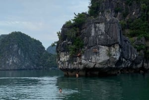 Cat Ba : Lan Ha Bay Bioluminescerande plankton kajak båttur