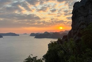 Cat Ba : sortie en kayak et plancton bioluminescent dans la baie de Lan Ha