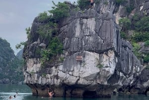 Cat Ba : sortie en kayak et plancton bioluminescent dans la baie de Lan Ha