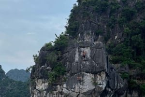 Cat Ba : sortie en kayak et plancton bioluminescent dans la baie de Lan Ha