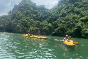 Cat Ba : sortie en kayak et plancton bioluminescent dans la baie de Lan Ha