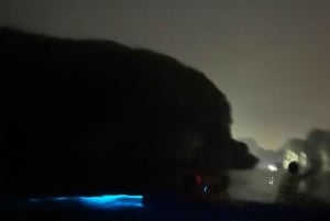Cat Ba : sortie en kayak et plancton bioluminescent dans la baie de Lan Ha