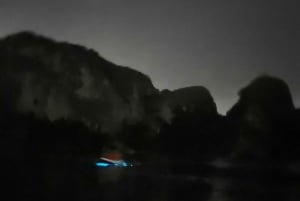 Cat Ba : sortie en kayak et plancton bioluminescent dans la baie de Lan Ha