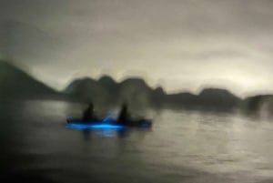 Cat Ba : sortie en kayak et plancton bioluminescent dans la baie de Lan Ha