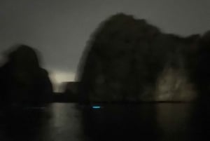 Cat Ba : sortie en kayak et plancton bioluminescent dans la baie de Lan Ha