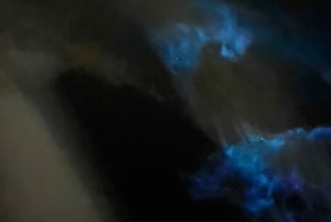 Cat Ba : sortie en kayak et plancton bioluminescent dans la baie de Lan Ha