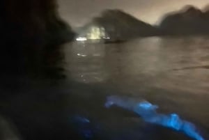 Cat Ba : sortie en kayak et plancton bioluminescent dans la baie de Lan Ha