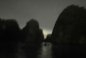 Cat Ba : sortie en kayak et plancton bioluminescent dans la baie de Lan Ha