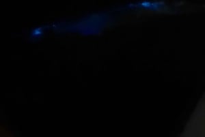 Cat Ba : sortie en kayak et plancton bioluminescent dans la baie de Lan Ha