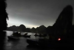 Cat Ba : sortie en kayak et plancton bioluminescent dans la baie de Lan Ha
