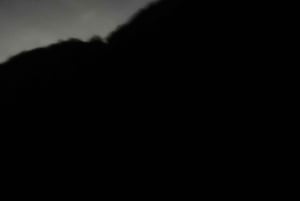 Cat Ba : sortie en kayak et plancton bioluminescent dans la baie de Lan Ha