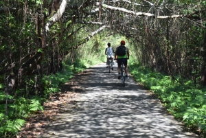 Cat Ba: Lan Ha Bay boetiek cruises-fietstocht, kajak, maaltijden