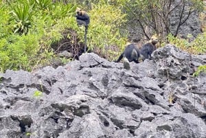 Cat Ba: Lan Ha Bay cruises- biking,kayaking, longest of 2d1n
