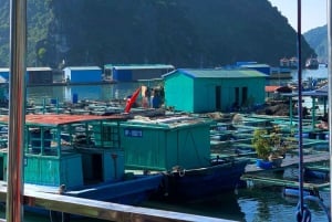 Cat Ba: Lan Ha Bay cruises- biking,kayaking, longest of 2d1n