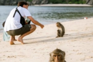 Cat Ba: Lan Ha & Ha Long Bay Kajak- och snorkel båttur