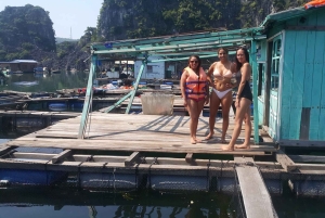 CAT BA: LAN HA OG HALONG BAY MED KAJAKK, SYKKEL, LUNSJ, SNORKLING