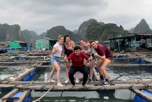 CAT BA: LAN HA OG HALONG BAY MED KAJAKK, SYKKEL, LUNSJ, SNORKLING