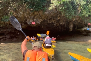 CAT BA: LAN HA OG HALONG BAY MED KAJAKK, SYKKEL, LUNSJ, SNORKLING