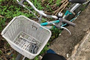 CAT BA: LAN HA OG HALONG BAY MED KAJAKK, SYKKEL, LUNSJ, SNORKLING