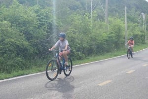 Cat Ba National Park: Guidad cykeltur med grottbesök