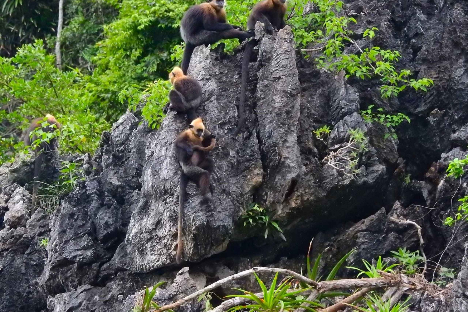 Parc national de Cat Ba, baie de Lan Ha 2 jours 1 nuit d'aventure