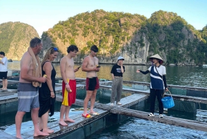 Parc national de Cat Ba, baie de Lan Ha 2 jours 1 nuit d'aventure