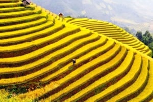 Cat Cat Village, Moana, Fansipan Cable, Alpine Coaster Sapa