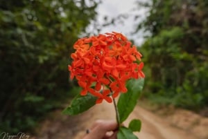 Jednodniowa wycieczka na wyspę Quy Nhon: plaża Ky Co, Eo Gio