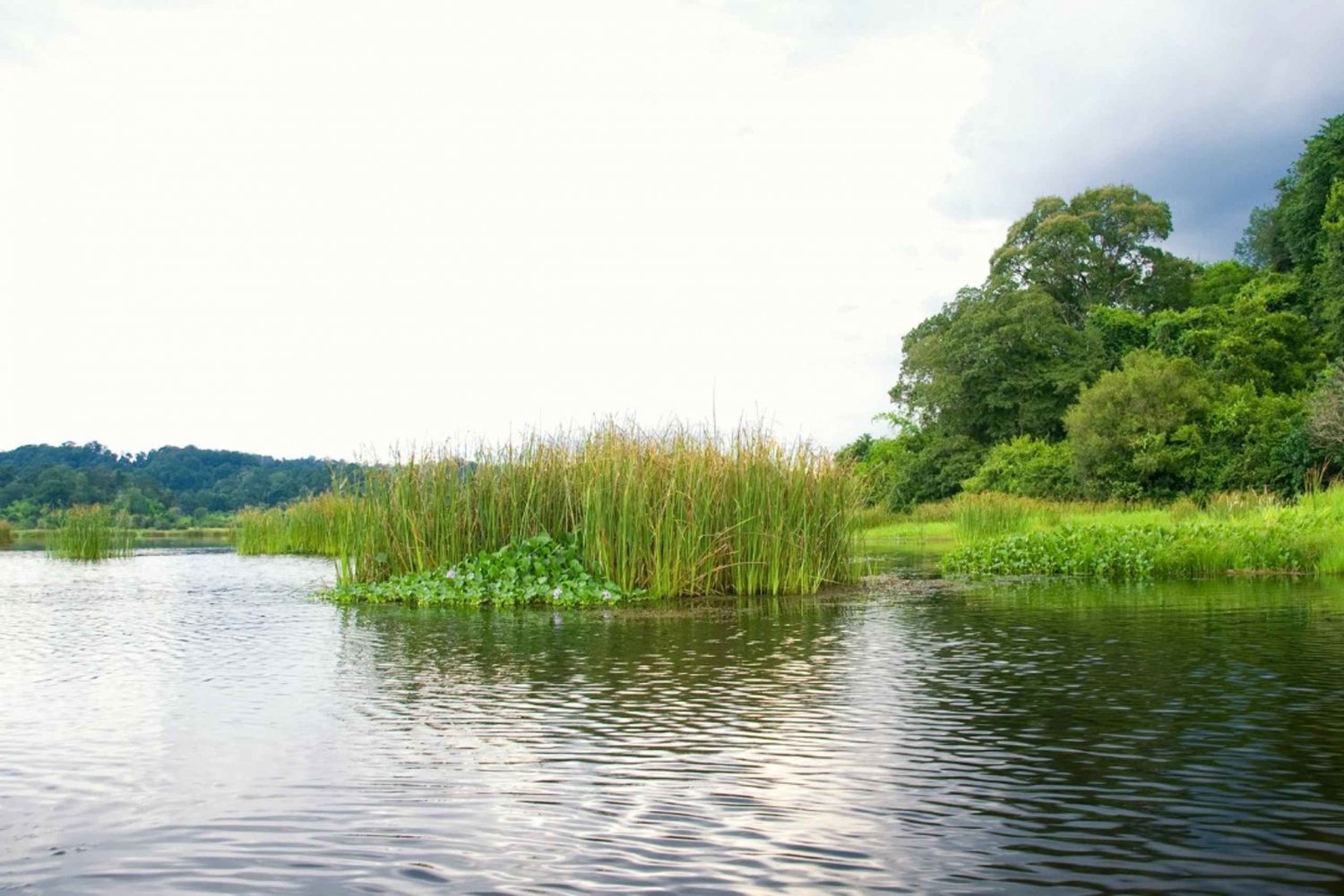 Parco Nazionale di Cat Tien con il Lago dei Coccodrilli