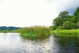 Cat Tien-Nationalpark mit Krokodilsee