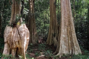 Parque Nacional de Cat Tien con el Lago de los Cocodrilos