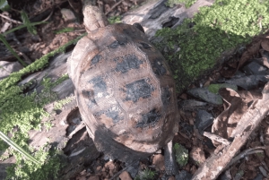 Национальный парк Каттьен с крокодиловым озером