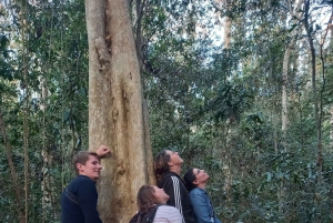 Национальный парк Каттьен с крокодиловым озером