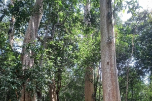 Национальный парк Каттьен с крокодиловым озером