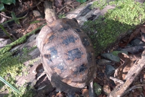 Национальный парк Каттьен с крокодиловым озером