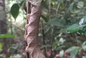 Национальный парк Каттьен с крокодиловым озером