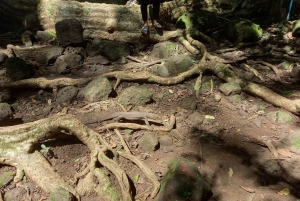 Национальный парк Каттьен с крокодиловым озером