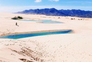 Cultura Cham e beleza costeira: excursão de 1 dia em Ninh Thuan