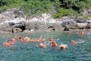Cham Island: Snorkeling with Transfer from Hoi An or Da Nang
