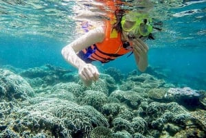 Cham Island tour with snorkeling fun: From Da Nang or Hoi An