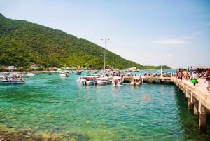 Cham Island tour with snorkeling fun: From Da Nang or Hoi An