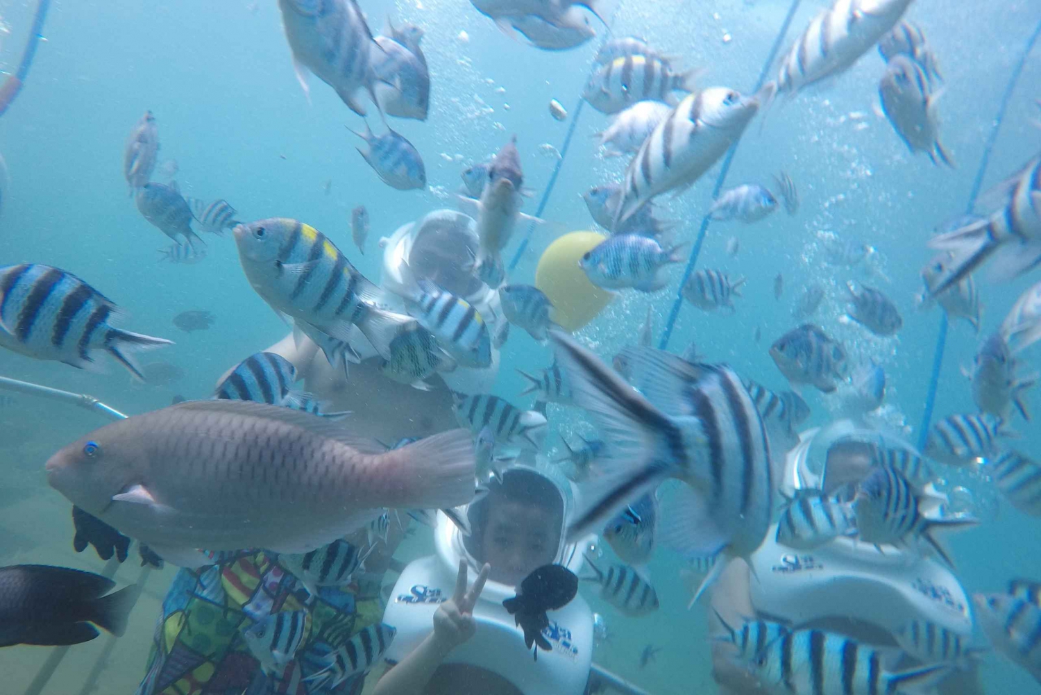 Cham Island: Undervannsspasertur og snorkling