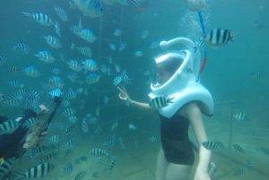 Cham Island: Underwater Walking & Snorkeling Tour
