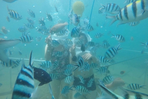 Cham-Inseln: Spaziergang unter Wasser & Schnorcheltour