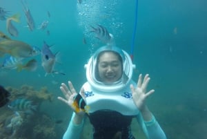 Cham Island: Undervannsspasertur og snorkling