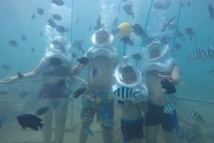 Cham-øen: Snorkling og 'underwater walking'