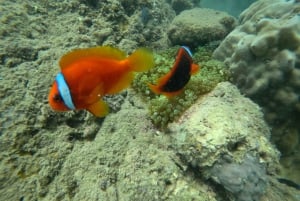 Île Cham : randonnée sous-marine et plongée